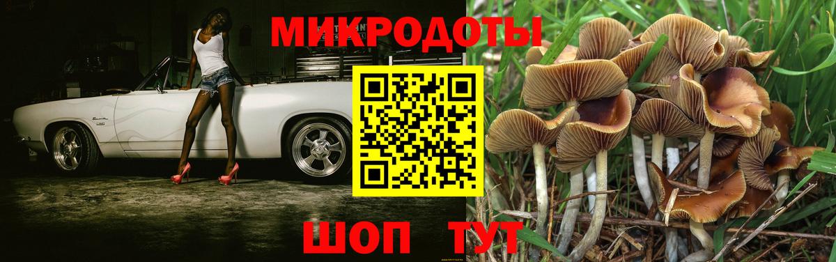 Псилоцибиновые грибы Psilocybe Верхняя Салда